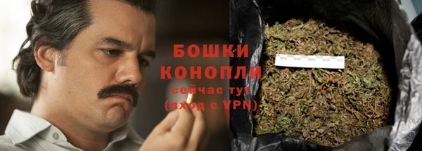 стаф Нефтегорск