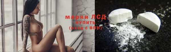 стаф Нефтегорск