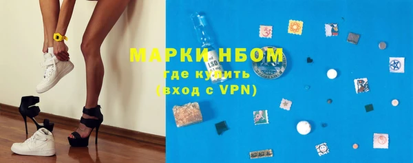 стаф Нефтегорск
