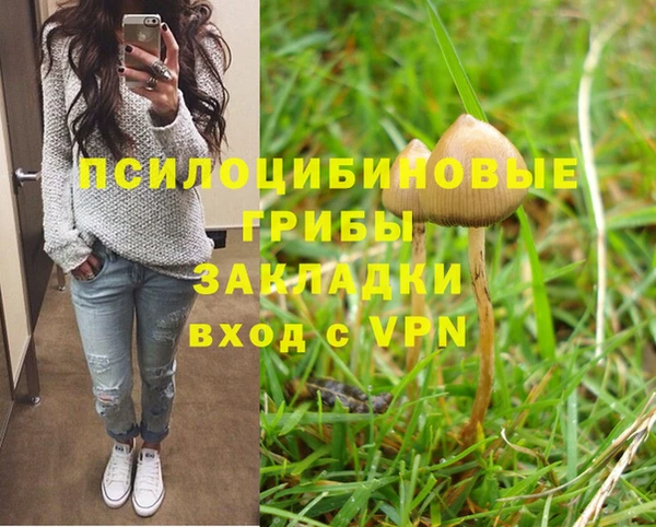 ПСИЛОЦИБИНОВЫЕ ГРИБЫ Нефтекумск