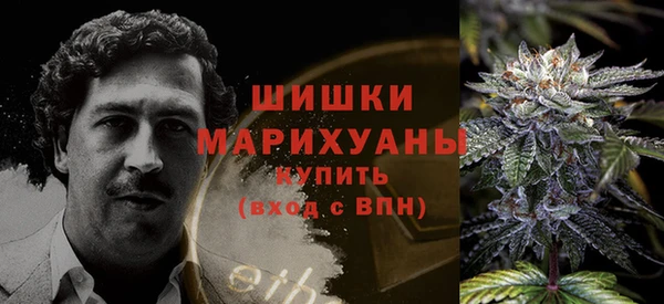 ПСИЛОЦИБИНОВЫЕ ГРИБЫ Нефтекумск