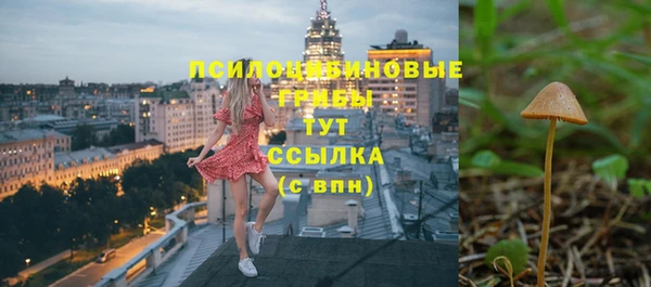 стаф Нефтегорск