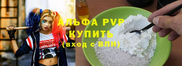 стаф Нефтегорск