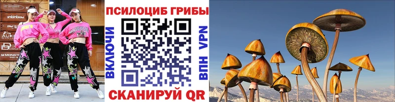 Псилоцибиновые грибы ЛСД  гидра зеркало  Таштагол 